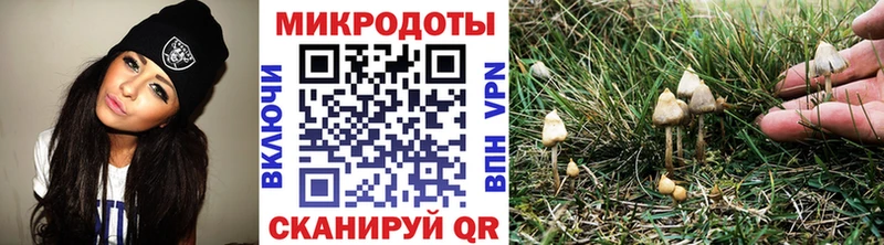 Галлюциногенные грибы Psilocybine cubensis  даркнет сайт  кракен ТОР  Химки 